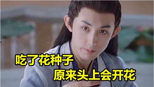 会长吃瓜原视频,揭秘幕后真相，带你领略娱乐圈风云变幻