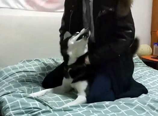 给吃瓜男友递袜子视频