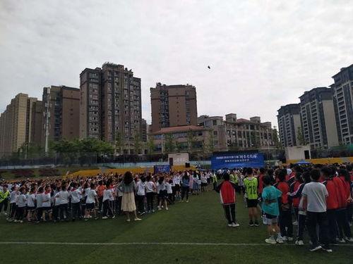 2021沉浸式吃瓜视频,盘点那些让人笑到肚子疼的瞬间