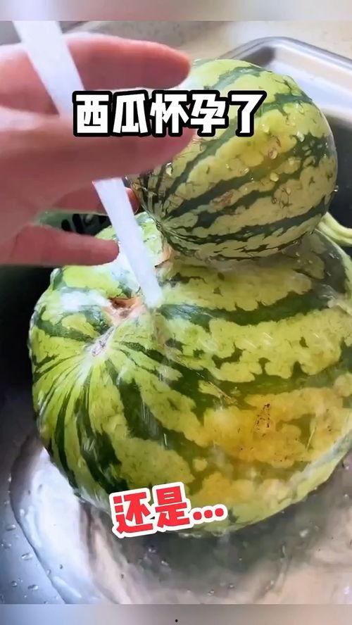 广东吃瓜搞笑视频大全,广东吃瓜搞笑视频大盘点