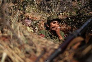 吃瓜雅典娜缅北视频,吃瓜雅典娜带你领略神秘视频背后的真相